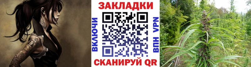 Купить закладку ТГК  Бошки Шишки  АМФ  Гашиш  Меф мяу мяу  A-PVP  Кокаин  Котельнич