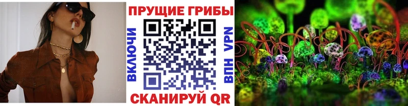Галлюциногенные грибы GOLDEN TEACHER  Купить  Котельнич 